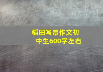 稻田写景作文初中生600字左右