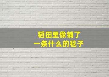 稻田里像铺了一条什么的毯子