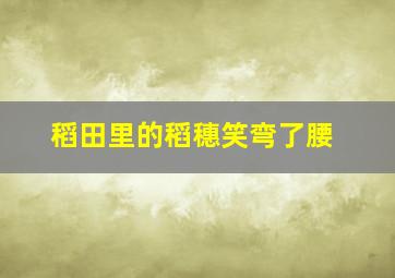 稻田里的稻穗笑弯了腰