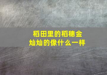 稻田里的稻穗金灿灿的像什么一样