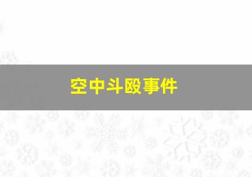 空中斗殴事件