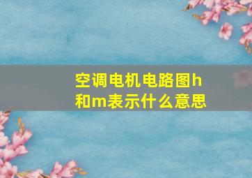 空调电机电路图h和m表示什么意思