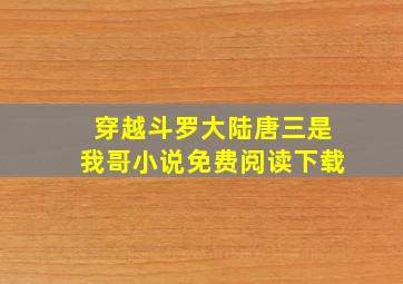 穿越斗罗大陆唐三是我哥小说免费阅读下载