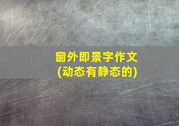 窗外即景字作文(动态有静态的)