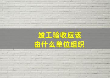 竣工验收应该由什么单位组织