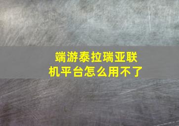 端游泰拉瑞亚联机平台怎么用不了