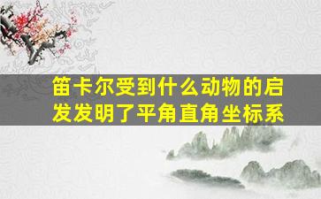 笛卡尔受到什么动物的启发发明了平角直角坐标系