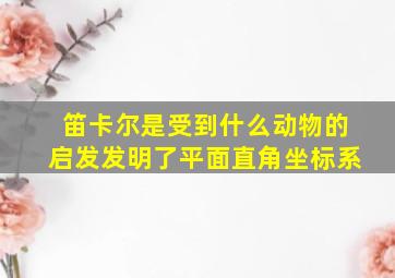 笛卡尔是受到什么动物的启发发明了平面直角坐标系