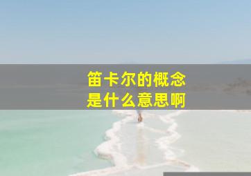 笛卡尔的概念是什么意思啊