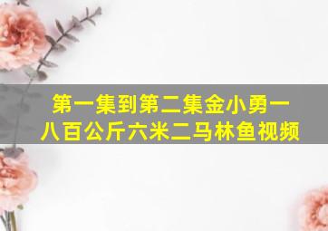 第一集到第二集金小勇一八百公斤六米二马林鱼视频