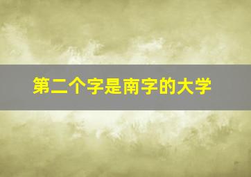 第二个字是南字的大学