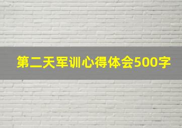 第二天军训心得体会500字