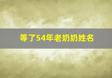 等了54年老奶奶姓名