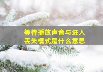 等待播放声音与进入丢失模式是什么意思