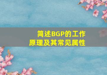 简述BGP的工作原理及其常见属性