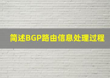 简述BGP路由信息处理过程