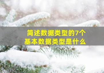 简述数据类型的7个基本数据类型是什么