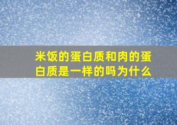 米饭的蛋白质和肉的蛋白质是一样的吗为什么