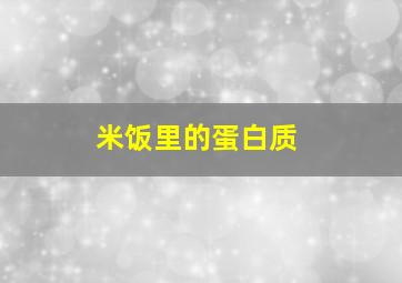 米饭里的蛋白质