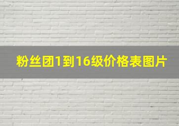 粉丝团1到16级价格表图片