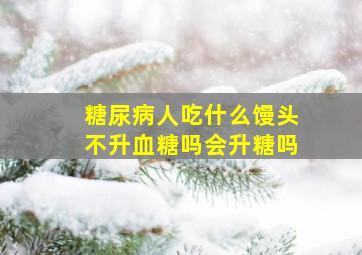 糖尿病人吃什么馒头不升血糖吗会升糖吗