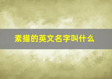 素描的英文名字叫什么