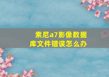 索尼a7影像数据库文件错误怎么办