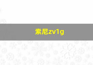 索尼zv1g