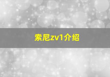 索尼zv1介绍