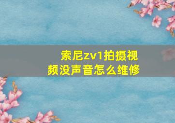 索尼zv1拍摄视频没声音怎么维修