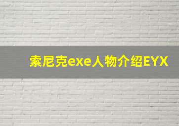 索尼克exe人物介绍EYX