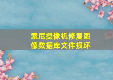 索尼摄像机修复图像数据库文件损坏