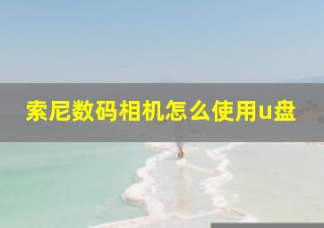 索尼数码相机怎么使用u盘