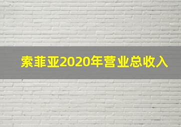 索菲亚2020年营业总收入