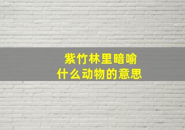 紫竹林里暗喻什么动物的意思