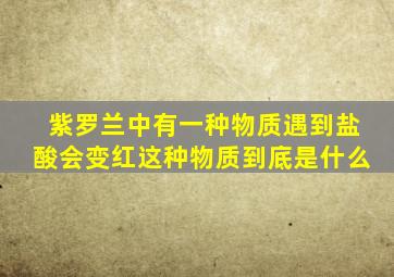 紫罗兰中有一种物质遇到盐酸会变红这种物质到底是什么