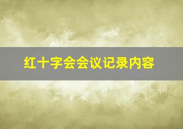 红十字会会议记录内容