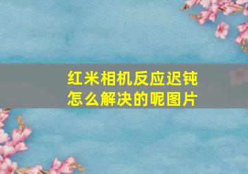 红米相机反应迟钝怎么解决的呢图片