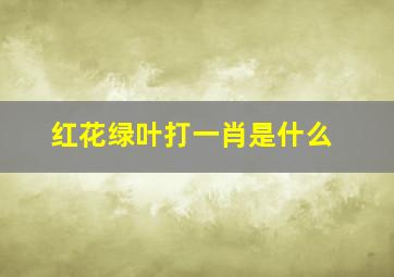 红花绿叶打一肖是什么