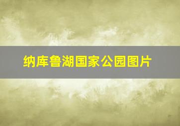 纳库鲁湖国家公园图片