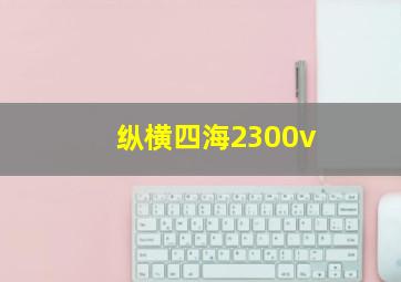 纵横四海2300v