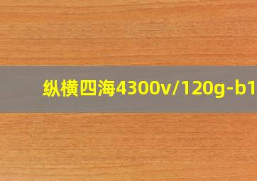 纵横四海4300v/120g-b102