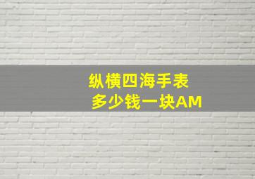 纵横四海手表多少钱一块AM