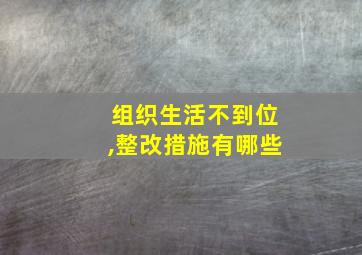 组织生活不到位,整改措施有哪些