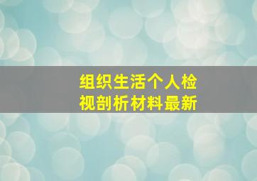 组织生活个人检视剖析材料最新