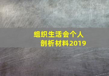 组织生活会个人剖析材料2019