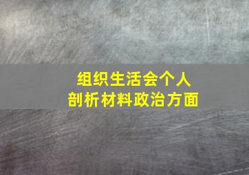 组织生活会个人剖析材料政治方面