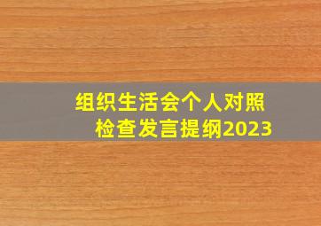 组织生活会个人对照检查发言提纲2023