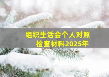 组织生活会个人对照检查材料2025年