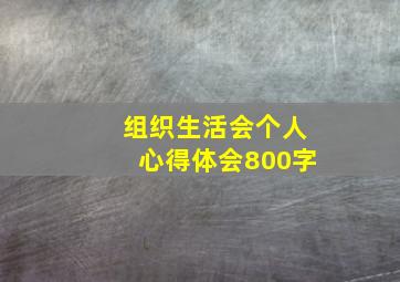 组织生活会个人心得体会800字